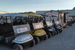 6-passenger LSV carts